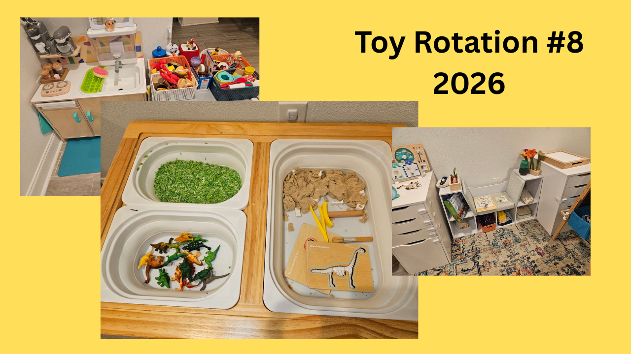 Toy Rotation #8 2026